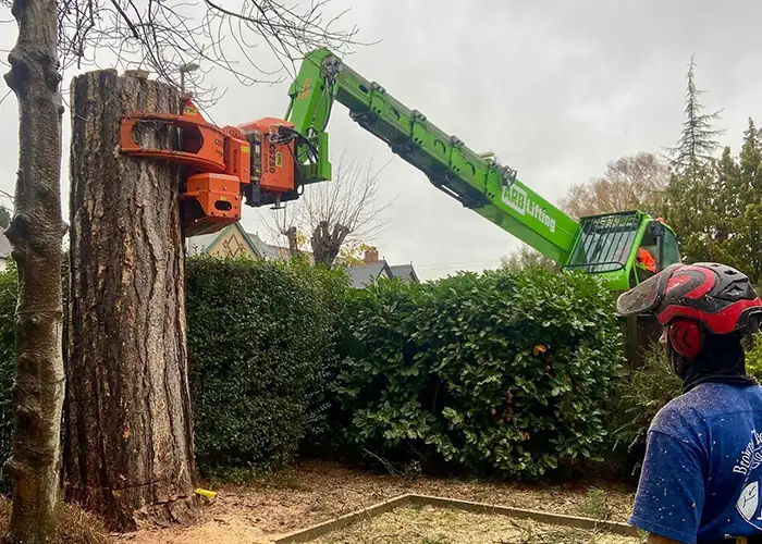 Browns Tree Solutions At Work