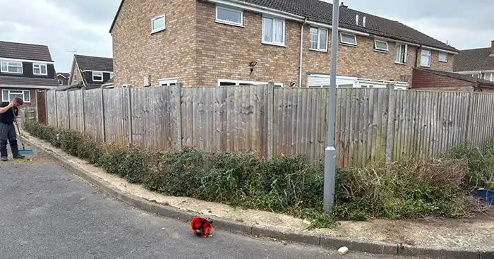 Hedge