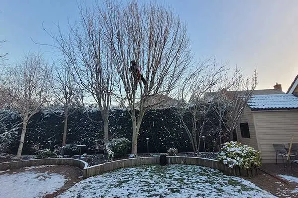 Winter Works